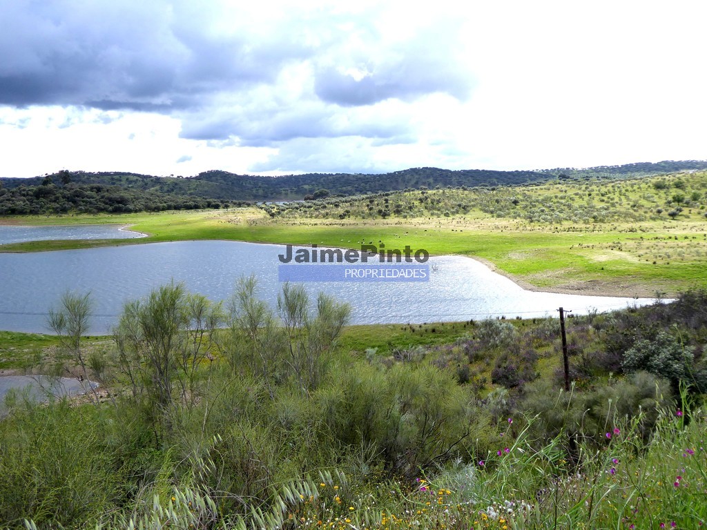 Herdade