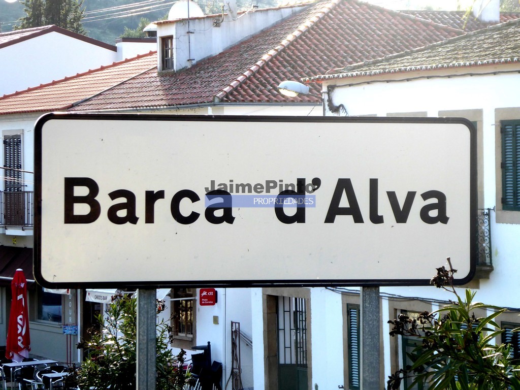Quinta