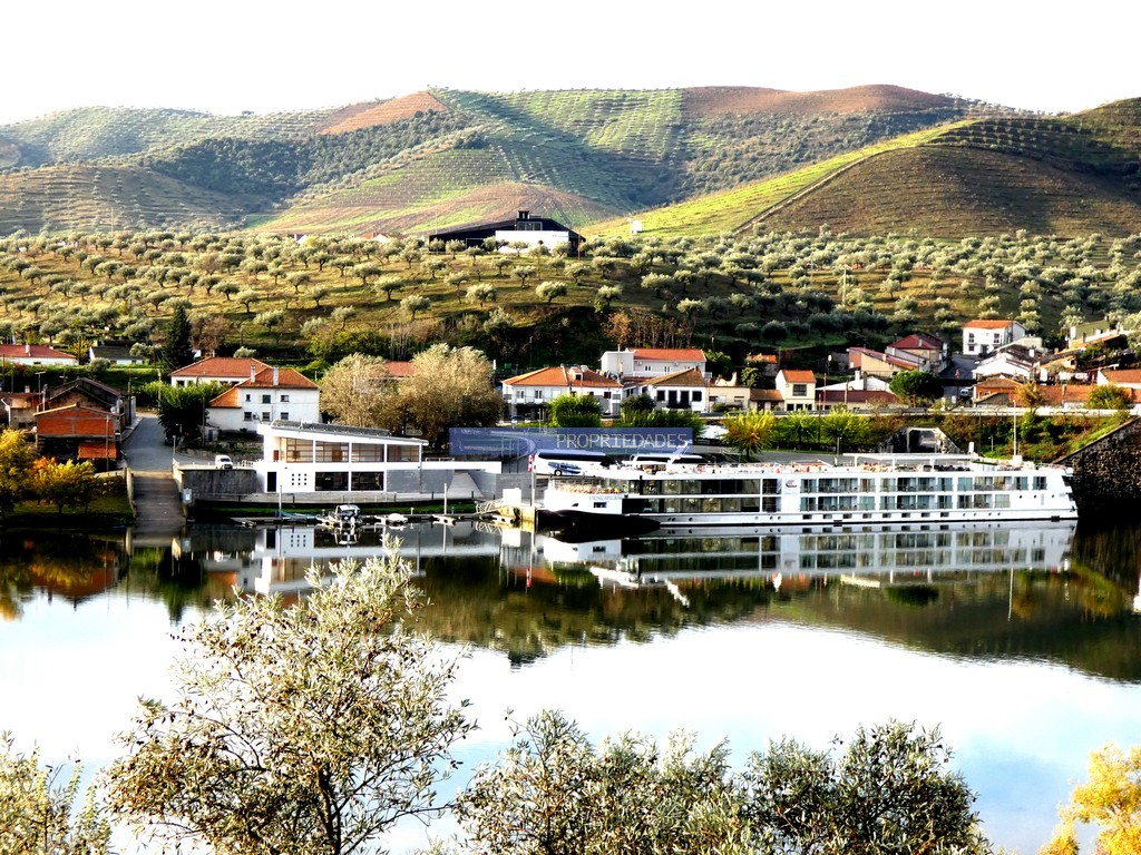 Quinta