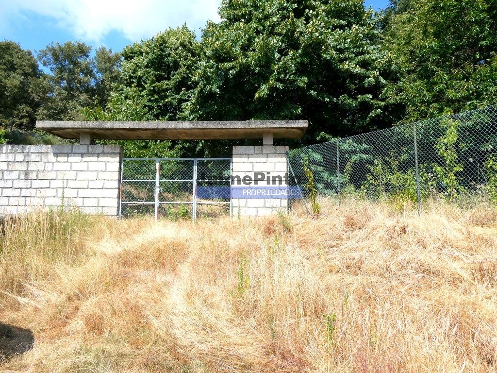 ST - BAIO