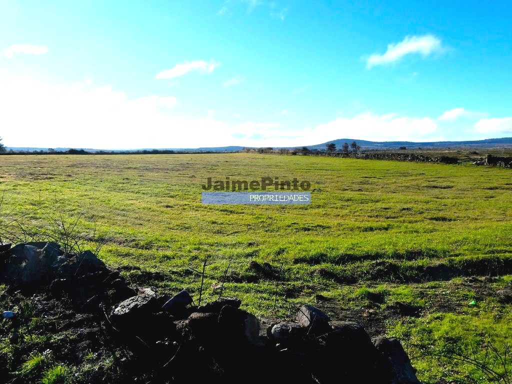 ST - FIGUEIRA DE CASTELO RODRIGO
