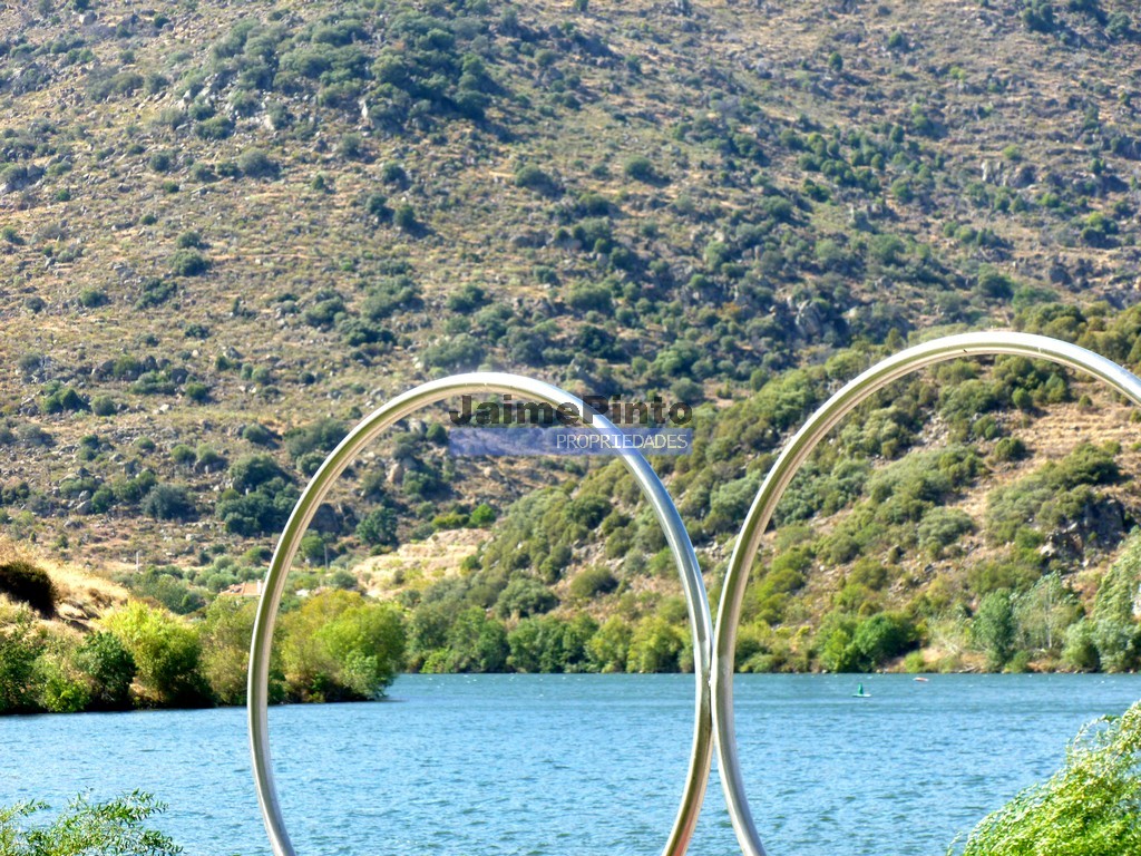 Quinta
